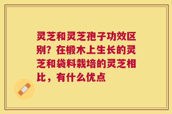 灵芝和灵芝孢子功效区别?在椴木上生长的灵芝和袋料栽培的灵芝相比,有什么优点 灵芝和灵芝孢子功效区别?在椴木上生长的灵芝和袋料栽培的灵芝相比,有什么优点