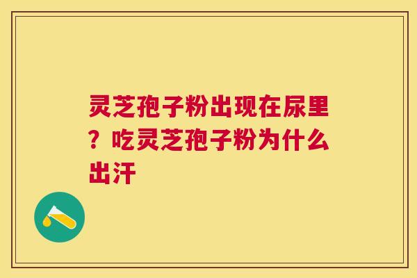 灵芝孢子粉出现在尿里?吃灵芝孢子粉为什么出汗 灵芝孢子粉出现在尿里?吃灵芝孢子粉为什么出汗