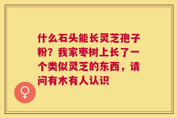 什么石头能长灵芝孢子粉?我家枣树上长了一个类似灵芝的东西,请问有木有人认识 什么石头能长灵芝孢子粉?我家枣树上长了一个类似灵芝的东西,请问有木有人认识