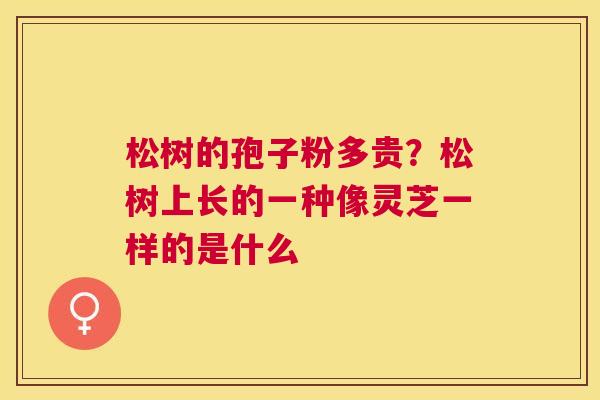 松树的孢子粉多贵?松树上长的一种像灵芝一样的是什么 松树的孢子粉多贵?松树上长的一种像灵芝一样的是什么