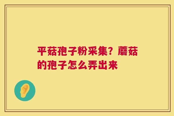 平菇孢子粉采集？蘑菇的孢子怎么弄出来