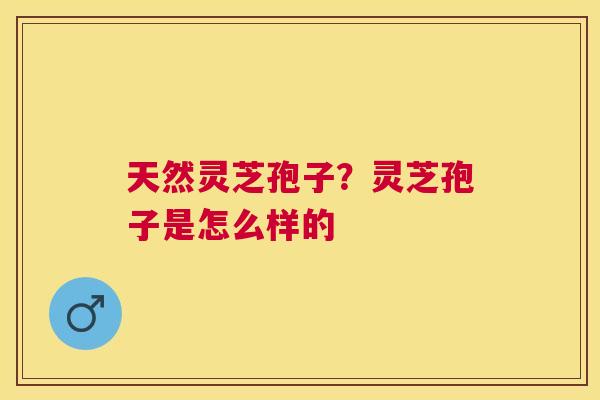 天然灵芝孢子？灵芝孢子是怎么样的
