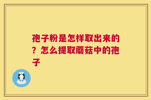 孢子粉是怎样取出来的？怎么提取蘑菇中的孢子