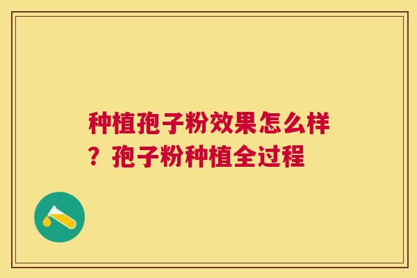 种植孢子粉效果怎么样?孢子粉种植全过程 种植孢子粉效果怎么样?孢子粉种植全过程