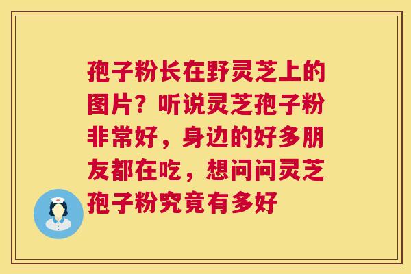 孢子粉长在野灵芝上的图片?听说灵芝孢子粉非常好,身边的好多朋友都在吃,想问问灵芝孢子粉究竟有多好 孢子粉长在野灵芝上的图片?听说灵芝孢子粉非常好,身边的好多朋友都在吃,想问问灵芝孢子粉究竟有多好