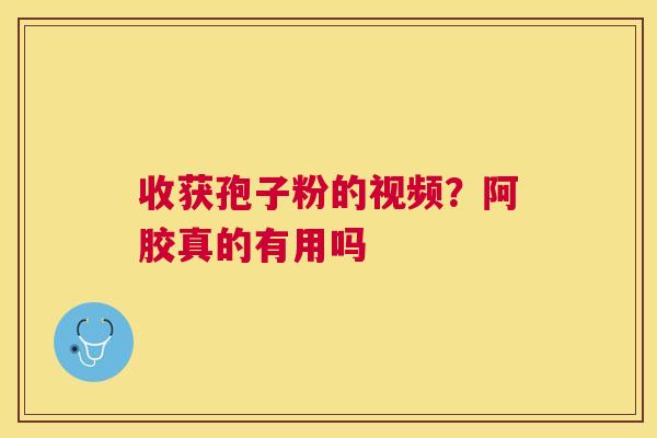 收获孢子粉的视频?阿胶真的有用吗 收获孢子粉的视频?阿胶真的有用吗