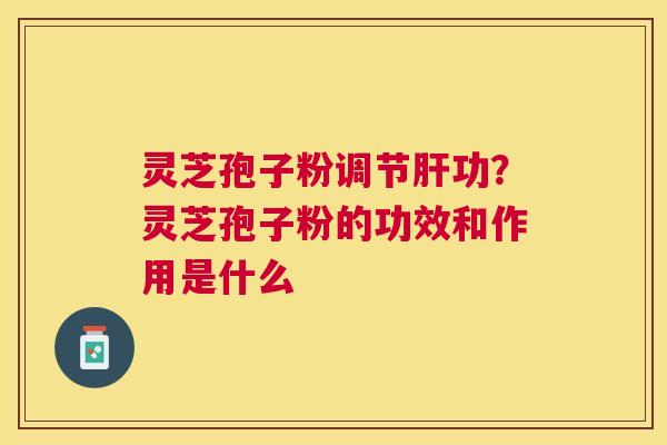 灵芝孢子粉调节功？灵芝孢子粉的功效和作用是什么