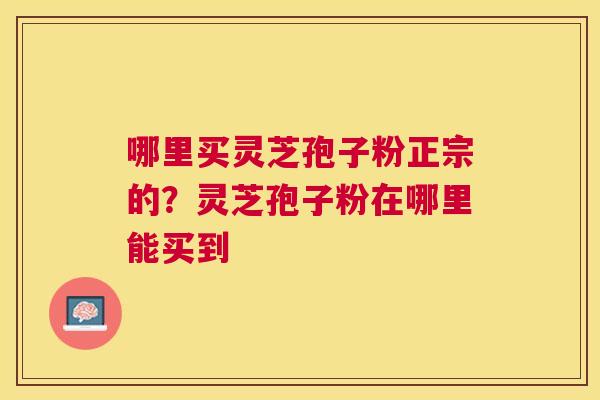 哪里买灵芝孢子粉正宗的？灵芝孢子粉在哪里能买到