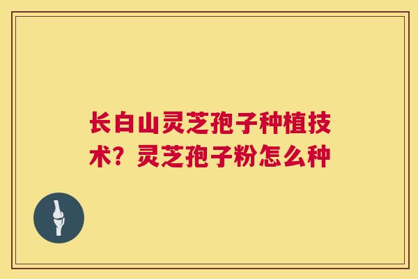 长白山灵芝孢子种植技术？灵芝孢子粉怎么种