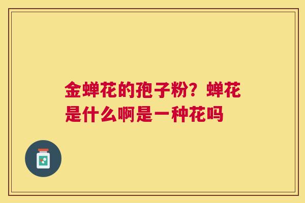 金蝉花的孢子粉？蝉花是什么啊是一种花吗