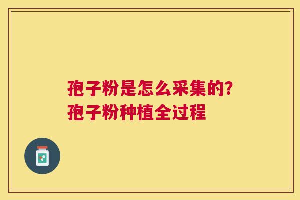 孢子粉是怎么采集的?孢子粉种植全过程 孢子粉是怎么采集的?孢子粉种植全过程