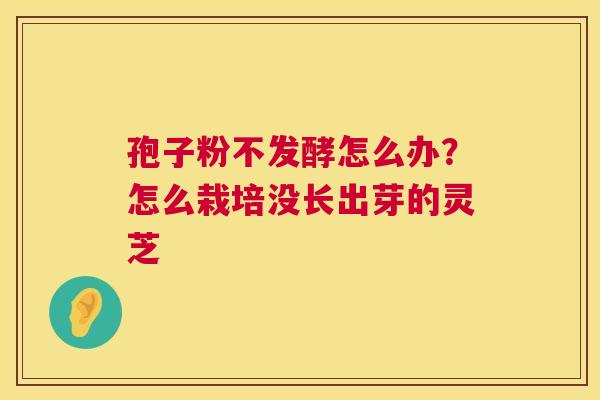 孢子粉不发酵怎么办？怎么栽培没长出芽的灵芝