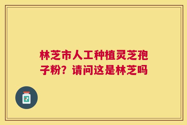 林芝市人工种植灵芝孢子粉?请问这是林芝吗 林芝市人工种植灵芝孢子粉?请问这是林芝吗