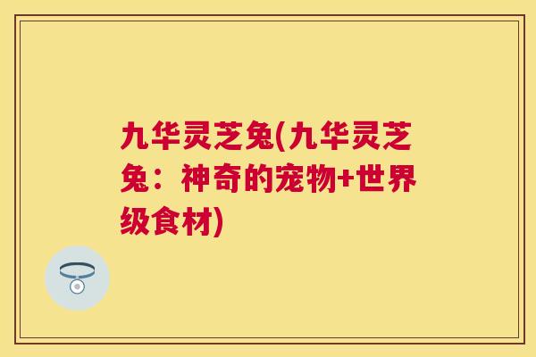 九华灵芝兔(九华灵芝兔:神奇的宠物+世界级食材) 九华灵芝兔(九华灵芝兔:神奇的宠物+世界级食材)