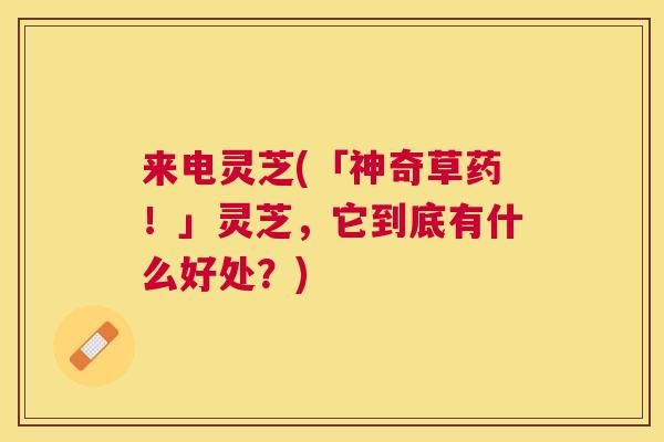 来电灵芝(「神奇草药!」灵芝,它到底有什么好处?) 来电灵芝(「神奇草药!」灵芝,它到底有什么好处?)