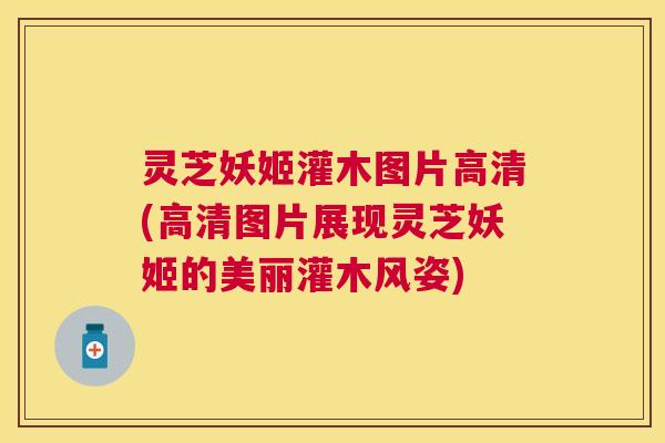 灵芝妖姬灌木图片高清(高清图片展现灵芝妖姬的美丽灌木风姿) 灵芝妖姬灌木图片高清(高清图片展现灵芝妖姬的美丽灌木风姿)