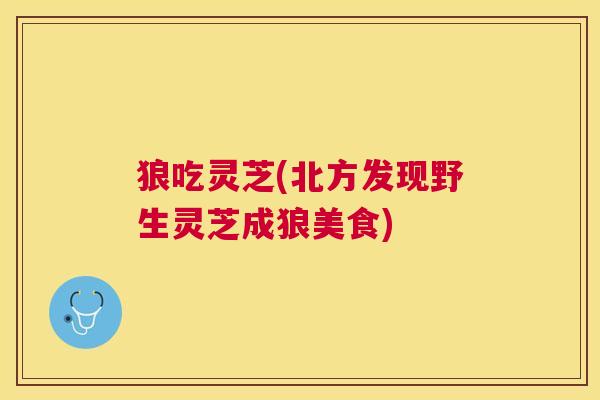狼吃灵芝(北方发现野生灵芝成狼美食)