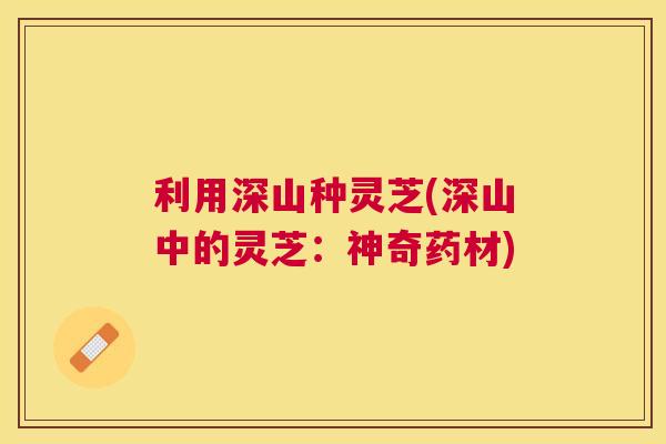 利用深山种灵芝(深山中的灵芝：神奇药材)