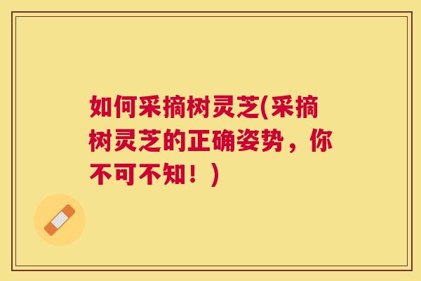 如何采摘树灵芝(采摘树灵芝的正确姿势,你不可不知!) 如何采摘树灵芝(采摘树灵芝的正确姿势,你不可不知!)