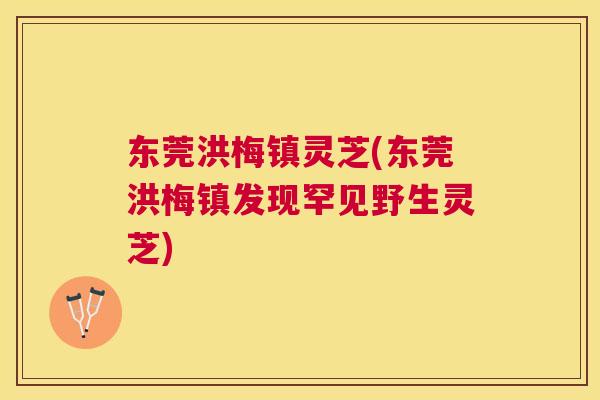 东莞洪梅镇灵芝(东莞洪梅镇发现罕见野生灵芝) 东莞洪梅镇灵芝(东莞洪梅镇发现罕见野生灵芝)