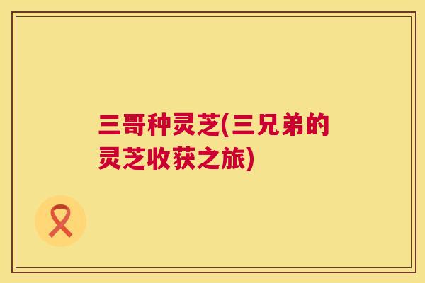 三哥种灵芝(三兄弟的灵芝收获之旅) 三哥种灵芝(三兄弟的灵芝收获之旅)
