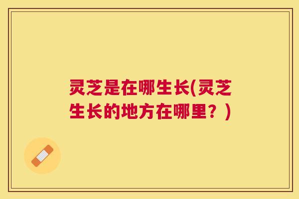 灵芝是在哪生长(灵芝生长的地方在哪里？)