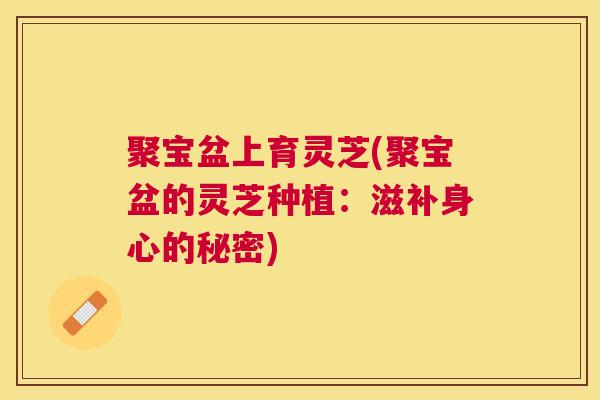 聚宝盆上育灵芝(聚宝盆的灵芝种植:滋补身心的秘密) 聚宝盆上育灵芝(聚宝盆的灵芝种植:滋补身心的秘密)