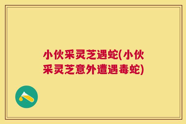 小伙采灵芝遇蛇(小伙采灵芝意外遭遇毒蛇) 小伙采灵芝遇蛇(小伙采灵芝意外遭遇毒蛇)