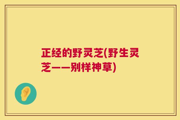 正经的野灵芝(野生灵芝——别样神草) 正经的野灵芝(野生灵芝——别样神草)