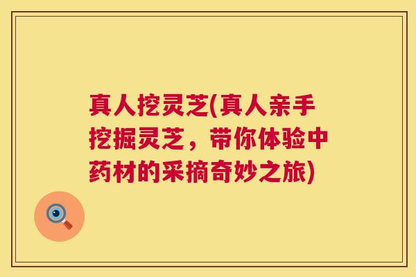 真人挖灵芝(真人亲手挖掘灵芝,带你体验材的采摘奇妙之旅) 真人挖灵芝(真人亲手挖掘灵芝,带你体验材的采摘奇妙之旅)