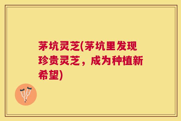 茅坑灵芝(茅坑里发现珍贵灵芝,成为种植新希望) 茅坑灵芝(茅坑里发现珍贵灵芝,成为种植新希望)