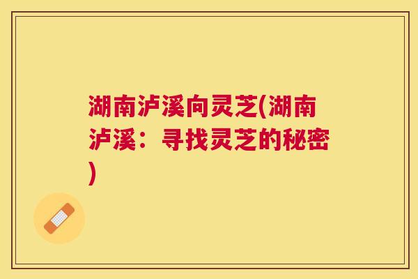 湖南泸溪向灵芝(湖南泸溪:寻找灵芝的秘密) 湖南泸溪向灵芝(湖南泸溪:寻找灵芝的秘密)