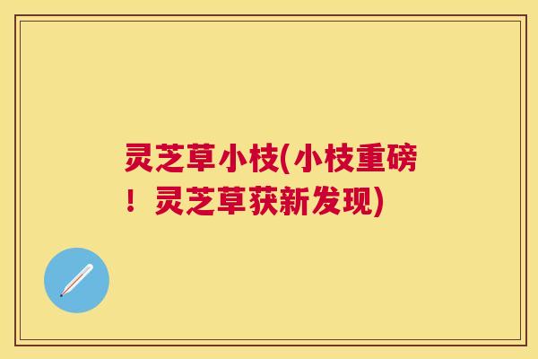 灵芝草小枝(小枝重磅!灵芝草获新发现) 灵芝草小枝(小枝重磅!灵芝草获新发现)