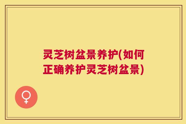 灵芝树盆景养护(如何正确养护灵芝树盆景)