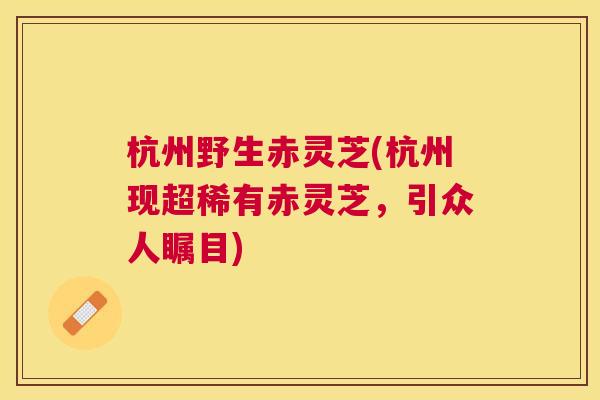 杭州野生赤灵芝(杭州现超稀有赤灵芝,引众人瞩目) 杭州野生赤灵芝(杭州现超稀有赤灵芝,引众人瞩目)