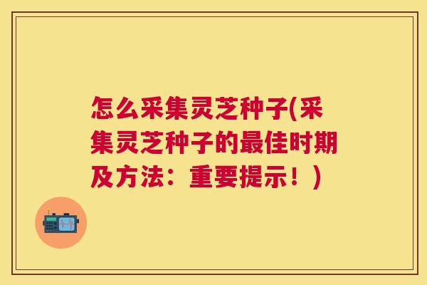 怎么采集灵芝种子(采集灵芝种子的佳时期及方法:重要提示!) 怎么采集灵芝种子(采集灵芝种子的佳时期及方法:重要提示!)