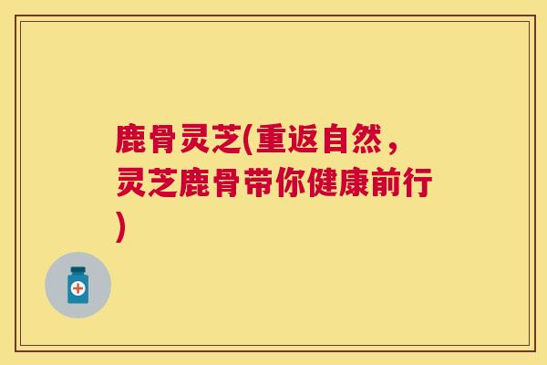 鹿骨灵芝(重返自然,灵芝鹿骨带你健康前行) 鹿骨灵芝(重返自然,灵芝鹿骨带你健康前行)