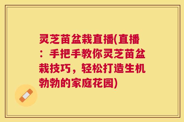 灵芝苗盆栽直播(直播:手把手教你灵芝苗盆栽技巧,轻松打造生机勃勃的家庭花园) 灵芝苗盆栽直播(直播:手把手教你灵芝苗盆栽技巧,轻松打造生机勃勃的家庭花园)
