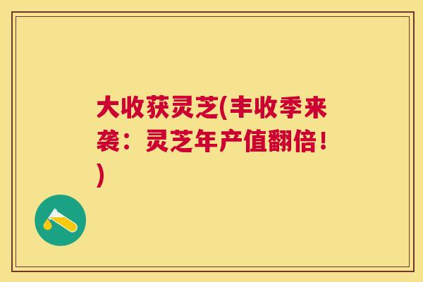 大收获灵芝(丰收季来袭:灵芝年产值翻倍!) 大收获灵芝(丰收季来袭:灵芝年产值翻倍!)