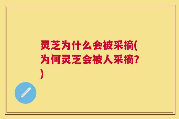 灵芝为什么会被采摘(为何灵芝会被人采摘?) 灵芝为什么会被采摘(为何灵芝会被人采摘?)