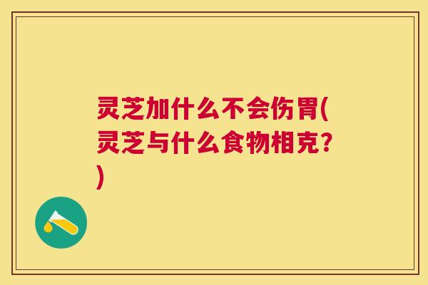 灵芝加什么不会伤胃(灵芝与什么食物相克?) 灵芝加什么不会伤胃(灵芝与什么食物相克?)