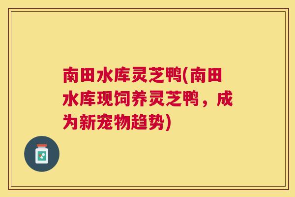 南田水库灵芝鸭(南田水库现饲养灵芝鸭,成为新宠物趋势) 南田水库灵芝鸭(南田水库现饲养灵芝鸭,成为新宠物趋势)