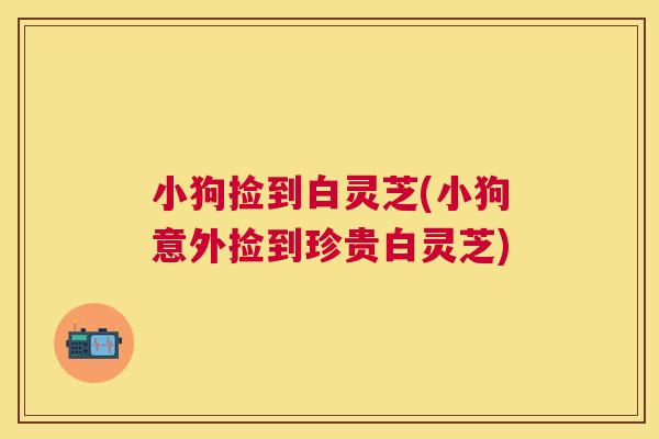 小狗捡到白灵芝(小狗意外捡到珍贵白灵芝)