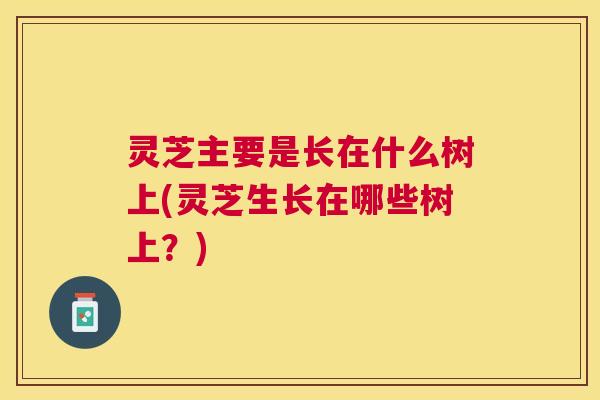 灵芝主要是长在什么树上(灵芝生长在哪些树上？)
