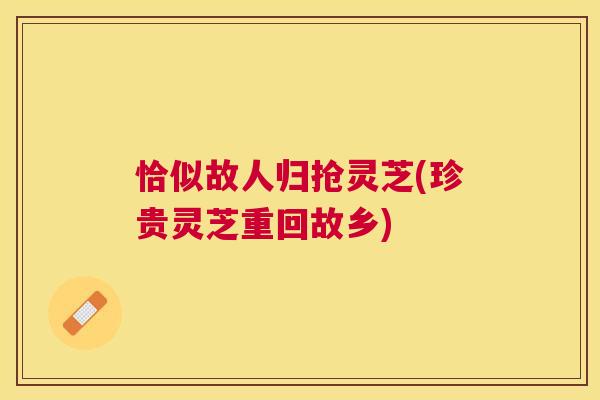 恰似故人归抢灵芝(珍贵灵芝重回故乡) 恰似故人归抢灵芝(珍贵灵芝重回故乡)
