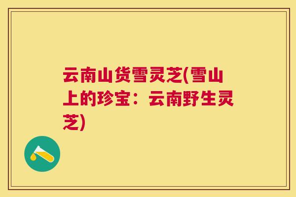 云南山货雪灵芝(雪山上的珍宝：云南野生灵芝)