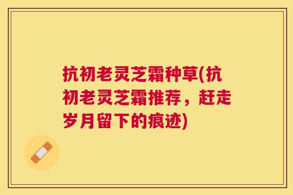 抗初老灵芝霜种草(抗初老灵芝霜推荐，赶走岁月留下的痕迹)