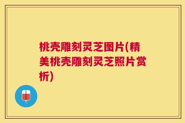 桃壳雕刻灵芝图片(精美桃壳雕刻灵芝照片赏析)