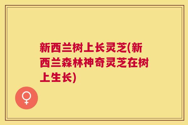 新西兰树上长灵芝(新西兰森林神奇灵芝在树上生长) 新西兰树上长灵芝(新西兰森林神奇灵芝在树上生长)