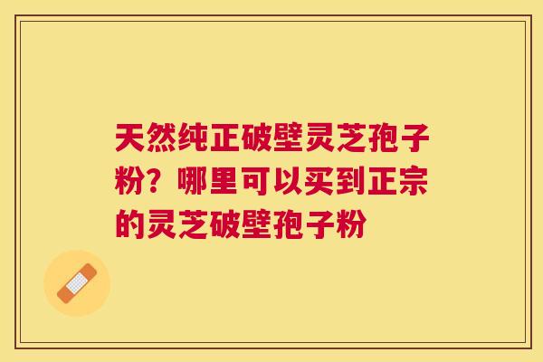 天然纯正破壁灵芝孢子粉?哪里可以买到正宗的灵芝破壁孢子粉 天然纯正破壁灵芝孢子粉?哪里可以买到正宗的灵芝破壁孢子粉